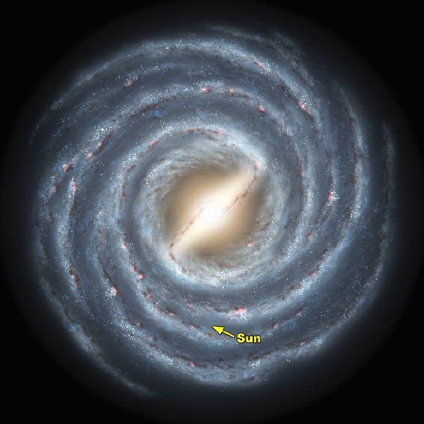 The Milky Way as a benchmark galaxy Why does the Milky Way have two disk populations?