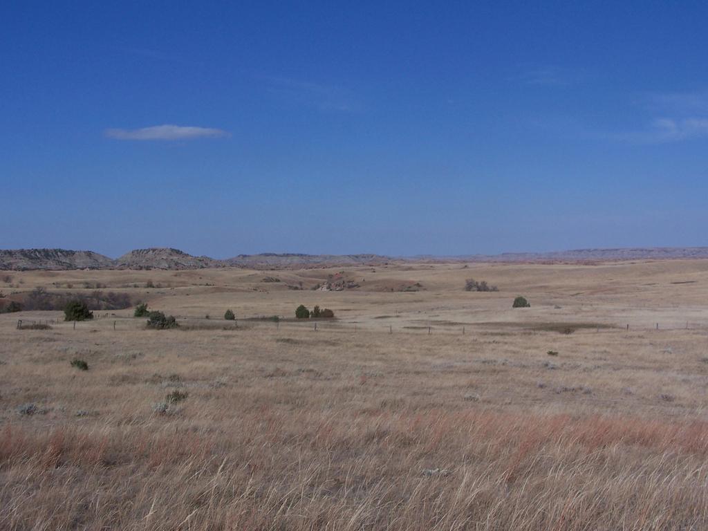 EFFECTS FROM LONG-TERM NONGRAZING AFTER 75 YEARS North Dakota
