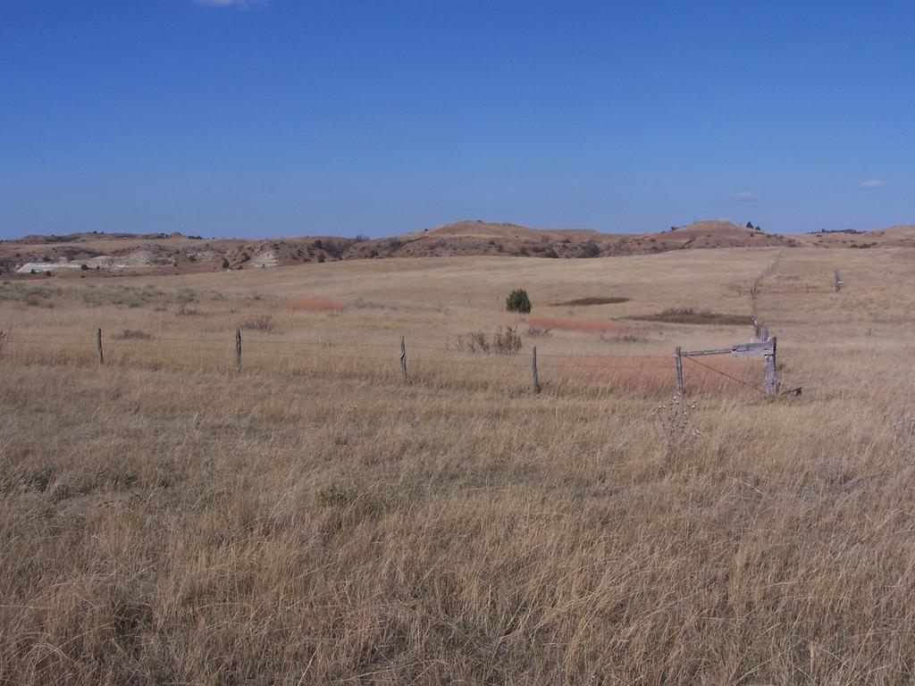 Figure 2. Sandy Ecological Site, located in Sec.