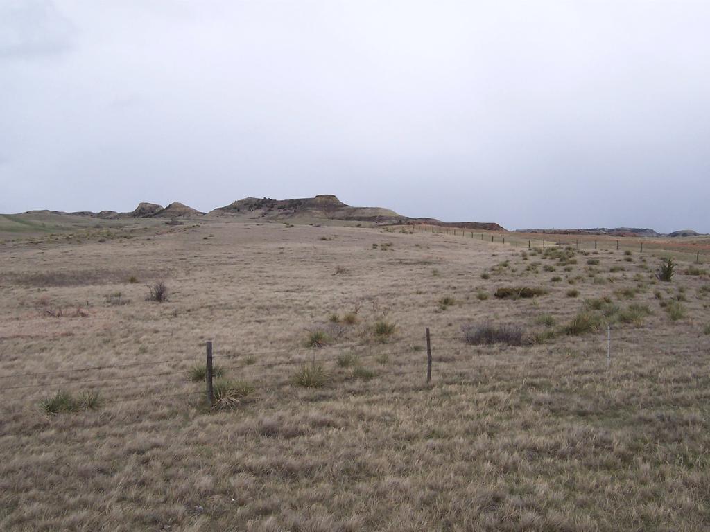 Figure 3. Sandy Ecological Site, located in Sec.