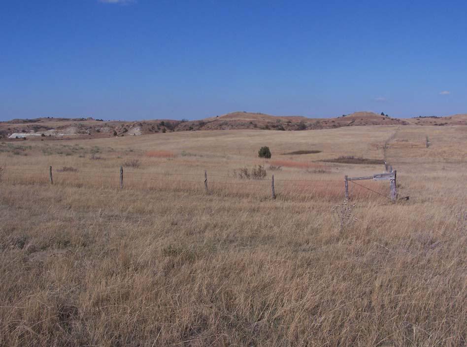 Figure 2. Sandy Ecological Site, located in Sec.