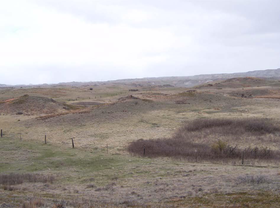Figure 12. Silty Ecological Site, located in Sec.