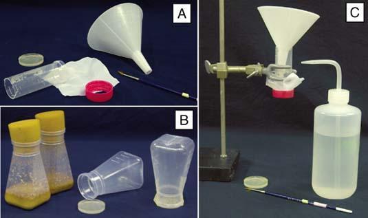 . The anesthetizer is a plastic gadget with a funnel-shaped opening