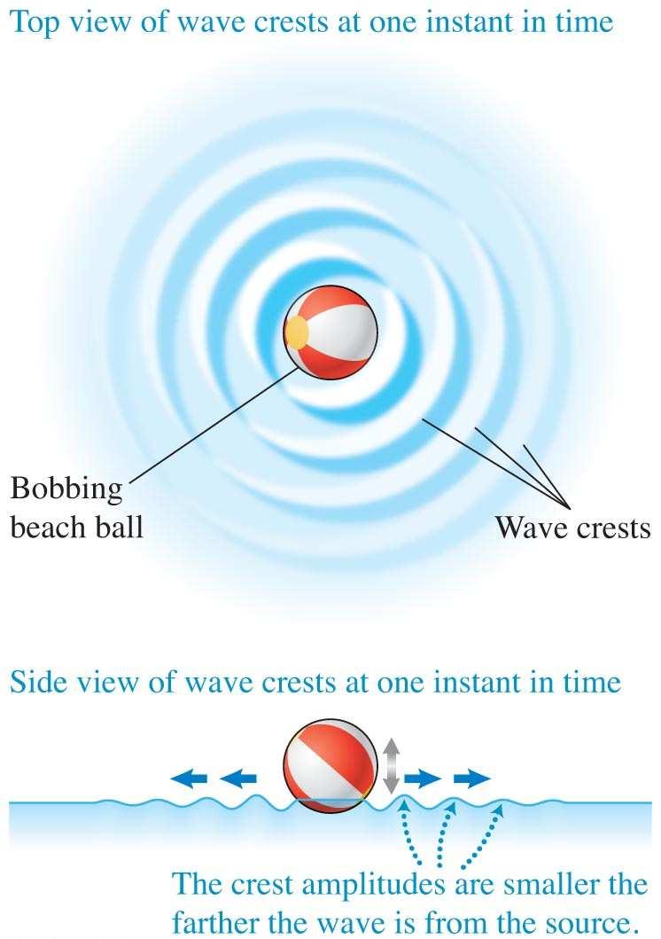 Amplitude and Energy in a Two Dimensional Medium A beach ball bobs up and down in water in simple harmonic motion, producing circular waves