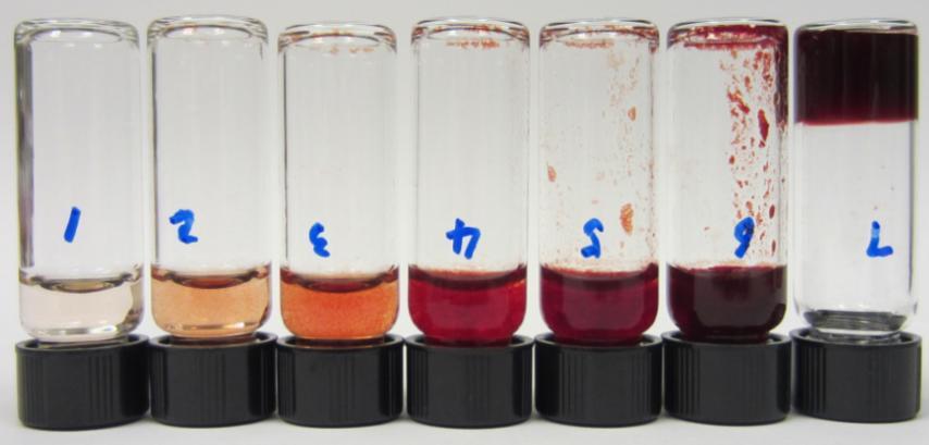 1:6) with different PI concentrations (from left to right: