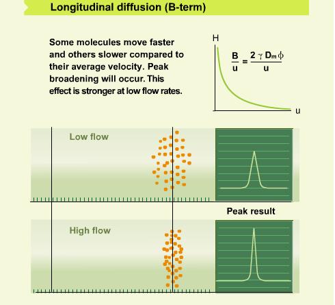 Longitudinal Diffusion Influences on B-term (longitudinal diffusion): Linear velocity of the mobile phase Diffusion