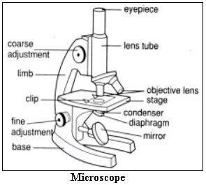 A compound microscope can be of two types: monocular microscope and binocular microscope.