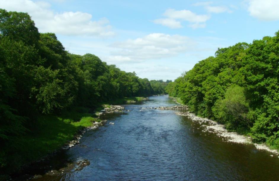 River Dee Long history of constructing croys, mainly to improve fishing conditions by creating pools Many constructed from naturally