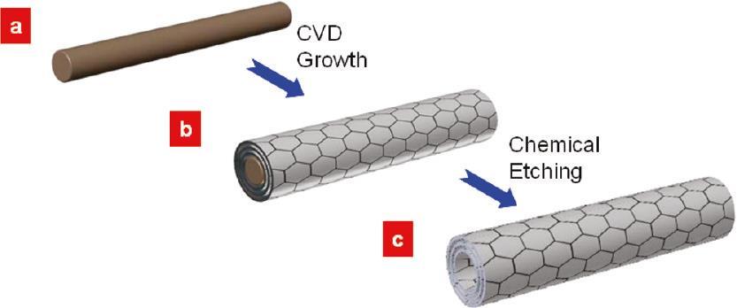 CVD Growth of Graphene with Ni Nanowires