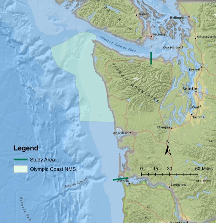 Leeworthy, Schwarzmann, Goedeke, Ball Gonyo, and Bauer Figure 1. Outer Coast of Washington Boundaries The sampling frame included residents 18 years or older living in State of Washington households.