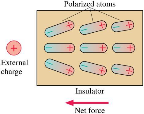 The Electric Dipole When an insulator is brought near an external charge, all the individual atoms inside the insulator become polarized.