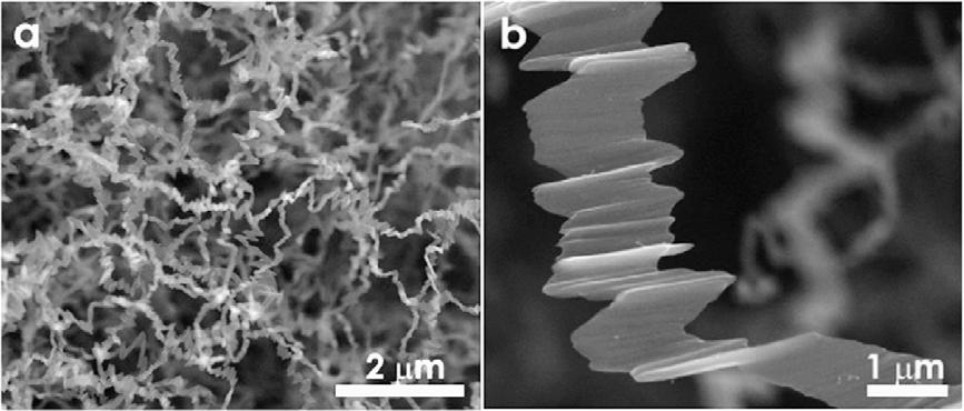 100 M. Batzill / Surface Science Reports 67 (2012) 83 115 Fig. 12. SEM images of multilayer graphene nanoribbons grown by a chemical vapor reaction process. Source: Reproduced from Ref. [145].