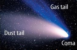 Comets, which are mixture of rock, ice, and dust, orbit the Sun.
