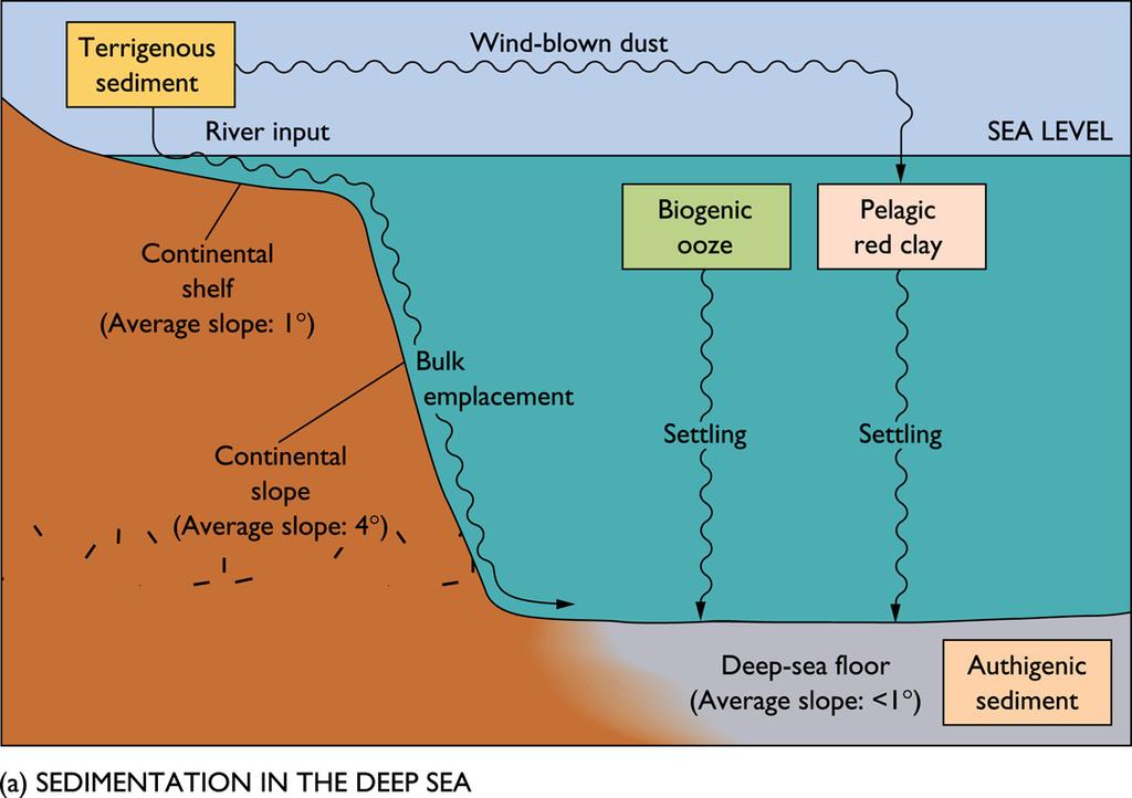I. Deep Sea Sedimentation Major