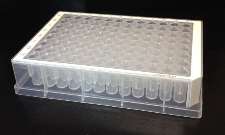 96 Eppendorf 96/500_V-bottom, Clear PolyPro Manufacturer: Eppendorf Part number: Various (See Additional notes.