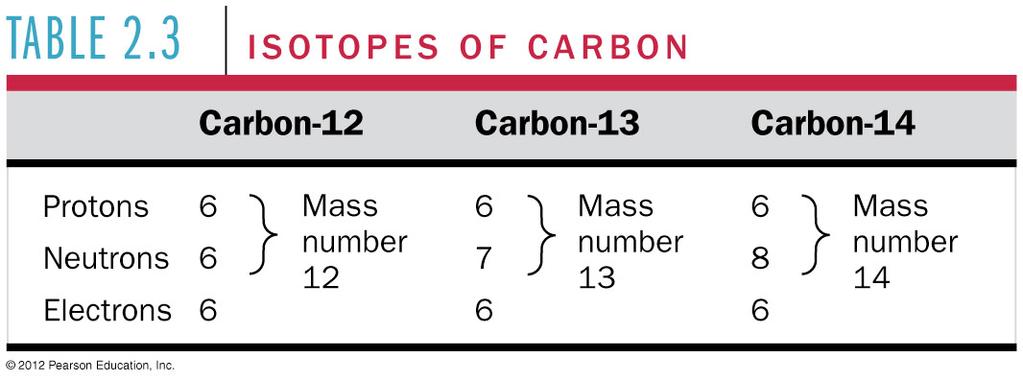 Different isotopes of an element have the same number of protons, but different numbers of neutrons. Different isotopes of an element behave identically in chemical reactions.