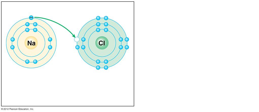 6 Covalent bonds join atoms into molecules through electron sharing In molecules of only one element, the pull toward each atom is equal, because each atom has the same electronegativity.