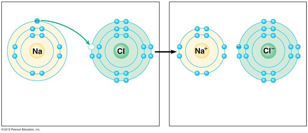 Figure 2.7A_s2 Figure 2.7B Transfer of electron Cl - Na + Na Sodium atom Cl Chlorine atom Na + Sodium ion Cl - Chloride ion Sodium chloride (NaCl) 2.