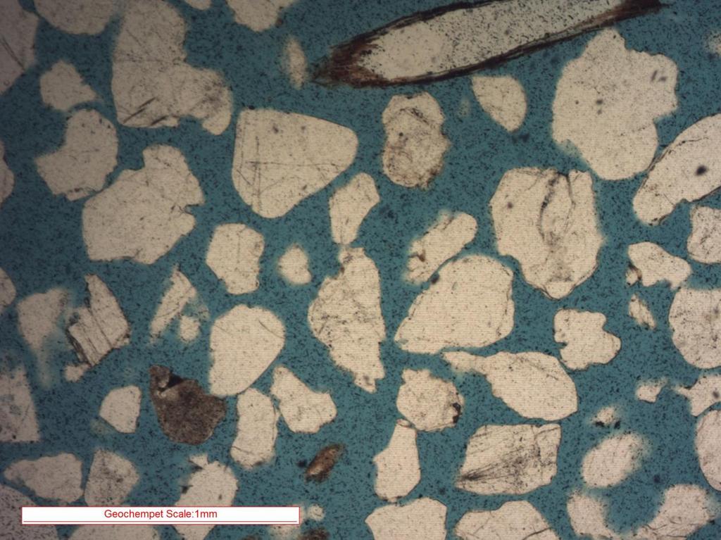 GEOCHEMPET SERVICES, BRISBANE Plate 4: Micrograph taken at low magnification, plane transmitted light image of common quartz sand grains along with plant matter observed within the top of the image.