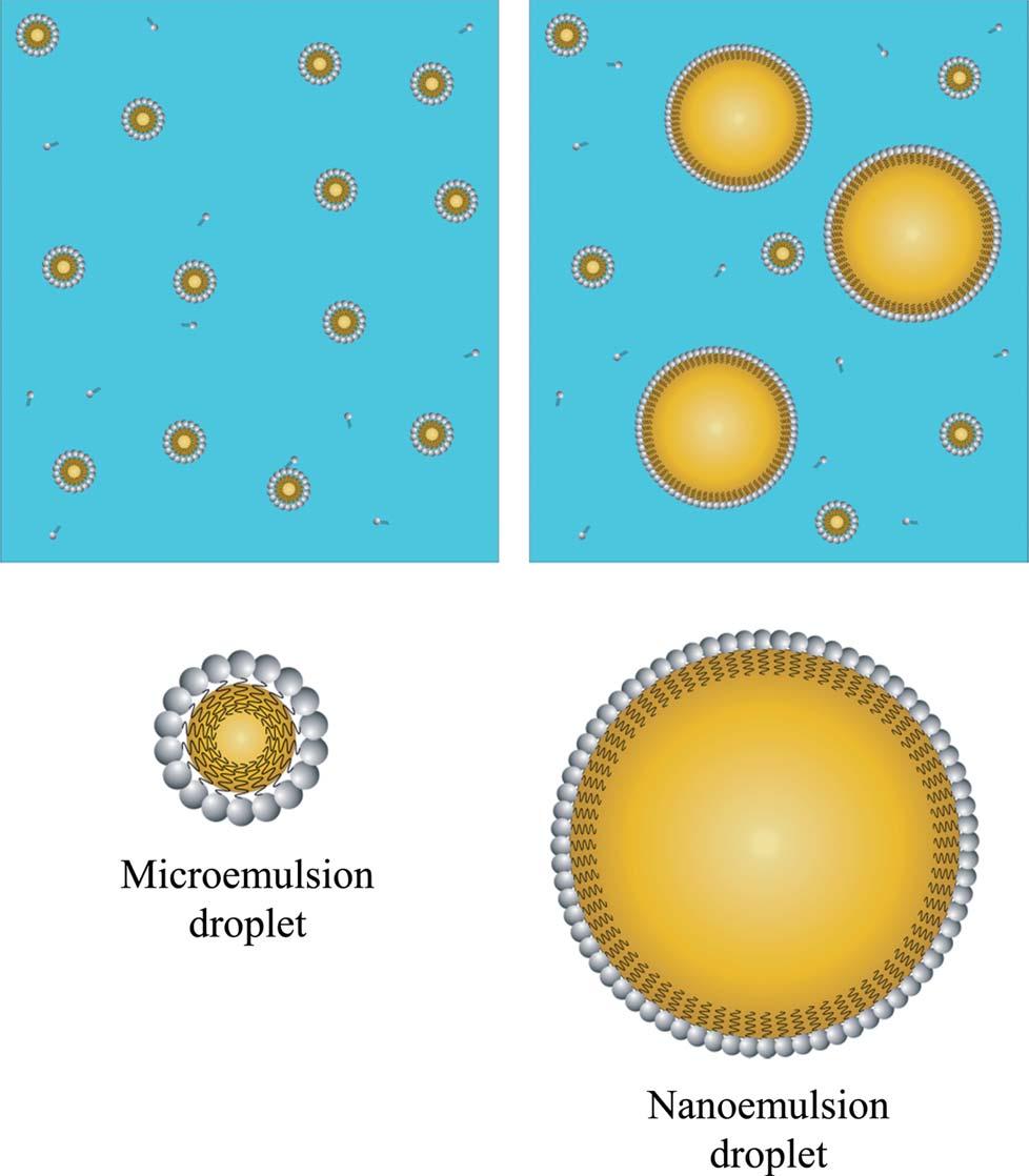 Fig. 1 Schematic diagram of microemulsions and nanoemulsions fabricated from oil, water and surfactant.