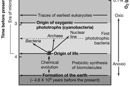 The Chemical Aspects of The Origin of Life Life is the cumulative product of interactions among the many kinds of chemical substances that make up the cells of an organism.