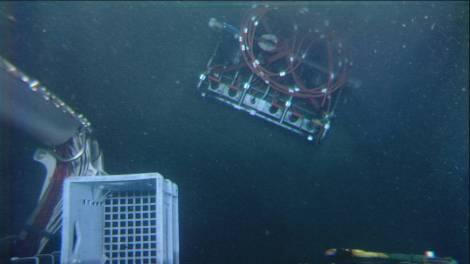 DIVE 1137 June 1 st. A science node was installed on seafloor in dive 1137.