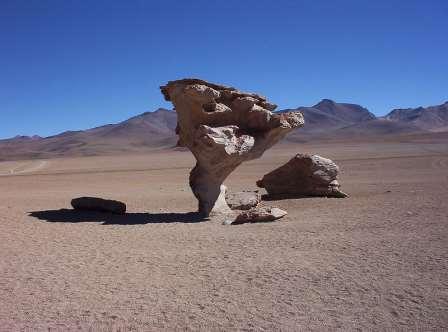 Wind Erosion The wind picks up and