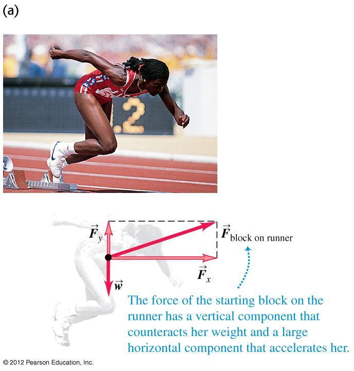 Diagram to Understand Forces The force of the starting block on the runner has a vertical component that