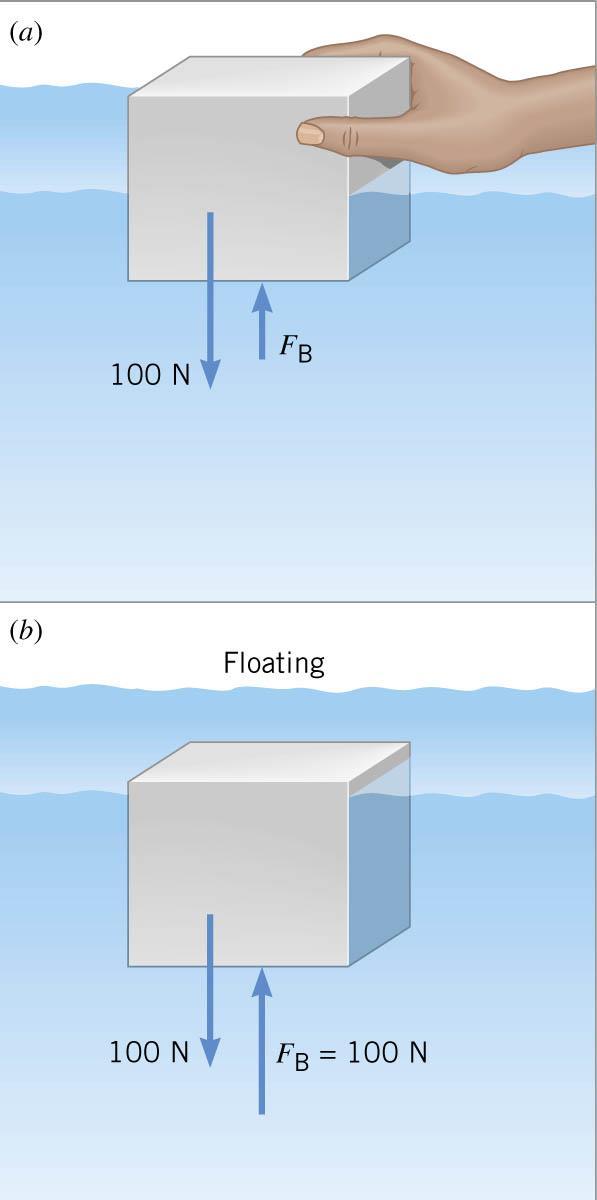 .6 Archimedes Principle If the object is floating then the