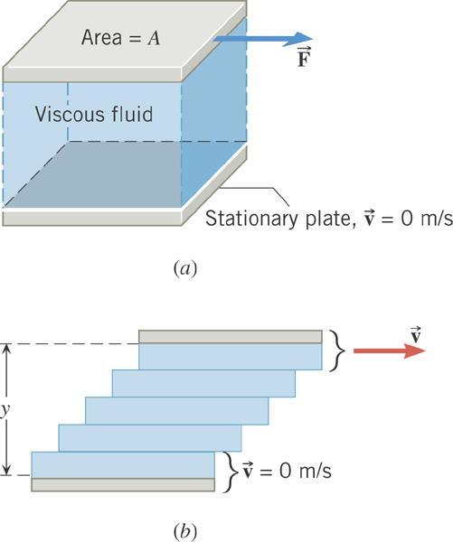 . Viscous Flow FORCE NEEDED TO MOVE A LAYER OF VISCOUS FLUID WITH CONSTANT VELOCITY The magnitude of the tangential force required to move a fluid