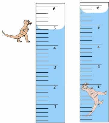 4. What is the word for the curved upper surface of a liquid (like the curve in the picture above)? 5. Using the water displacement method, calculate the volume of the dinosaur in the picture below.