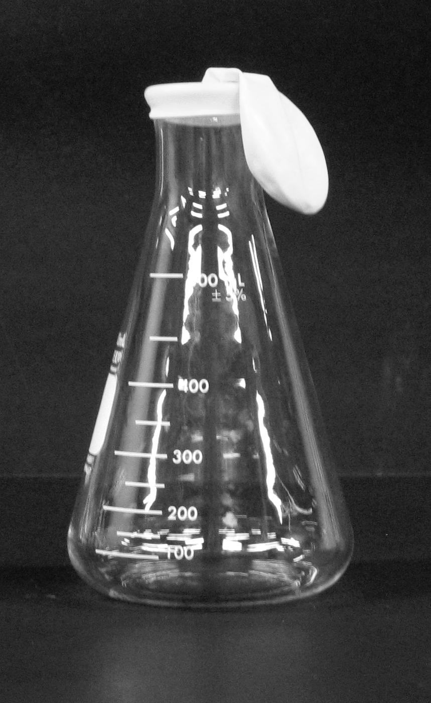 d. Stretch the open end of the balloon over the mouth of the Erlenmeyer flask until it securely covers the mouth of the flask.