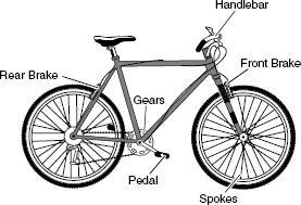 the A curved handlebars B brakes C spokes D gears 27 A student rolls a ball on the ground.