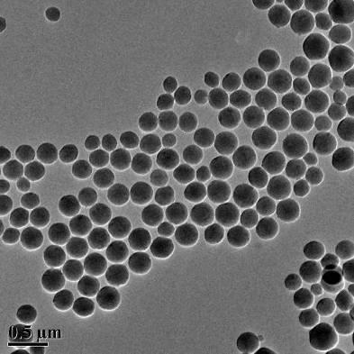 nanostructure in water