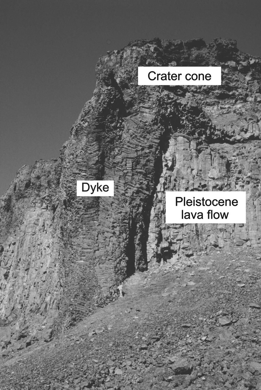 4 Introduction Fig. 1.3 Vertical dyke exposed in a river canyon in North Iceland. View northeast, the dyke is the feeder of (it supplied magma to) the crater cone and associated lava flow.