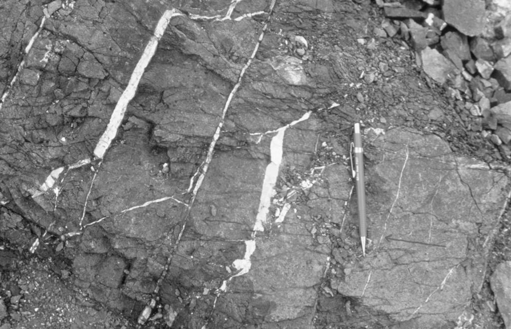 5 1.3 Notation and basic concepts Fig. 1.4 Mineral veins seen in a horizontal section (at the surface) of a basaltic lava flow in North Iceland.