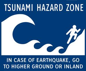 Task 2: Tsunamis Your task for this section is to research and produce a report on the Japanese tsunami that happened in 2011.