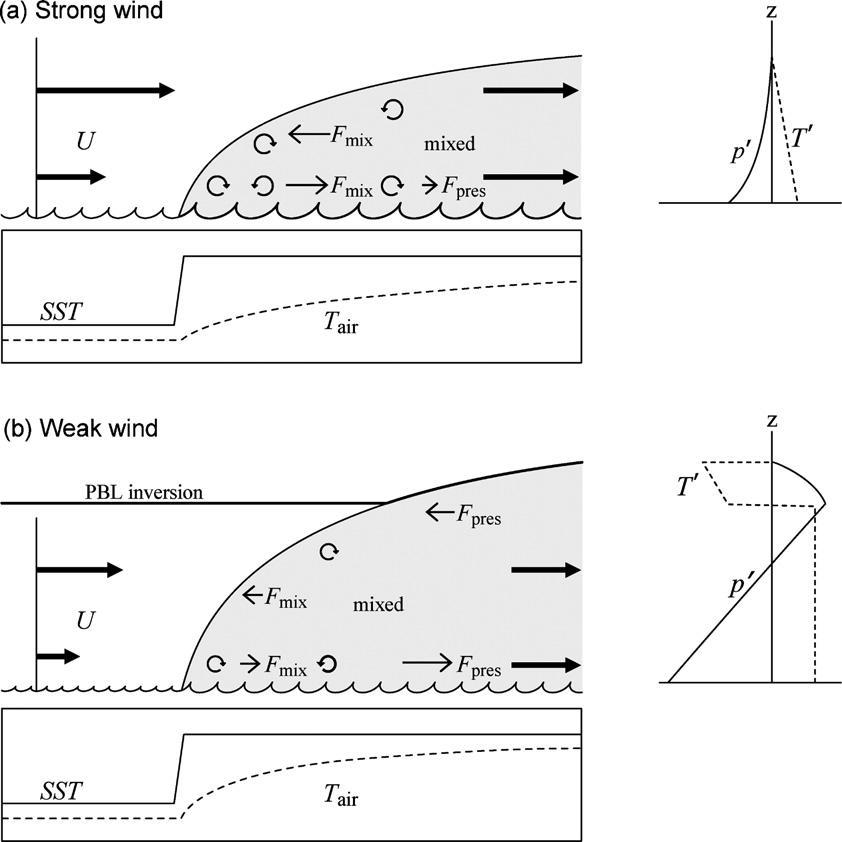 Flow from cold to warm SST with (a) strong background winds and (b) weak background winds Horizontal acr0ssfront