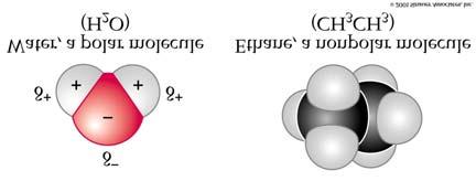 hydrophilic molecules. Figure 2.11 Polar and Nonpolar Molecules C.