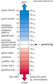 ph = -log[h + ] ph scales range from 0 to 14 as [H + ][OH - ] = 1 x 10-14 Most biological solutions are between the ph