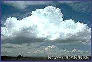 Large, thick, relatively lowaltitude clouds, such as cumulus and cumulonimbus, reflect incoming solar radiation and thereby reduce warming of the surface.