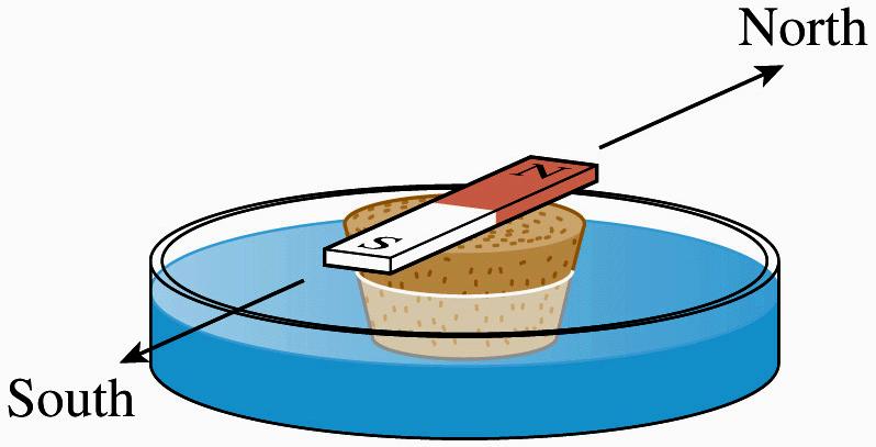 Magnetism: definitions of poles Put bar magnet on a cork and float it in a dish of water. The magnet turns and aligns itself with the north-south direction.