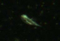 showed that near-surface (0 to 5 m) waters contained the majority of zooplankton.