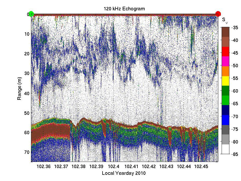 Figure 8. Echogram from the 120 khz echosounder (left) which shows the distribution of acoustic backscatter (from nekton) varied vertically and horizontally in the water column.