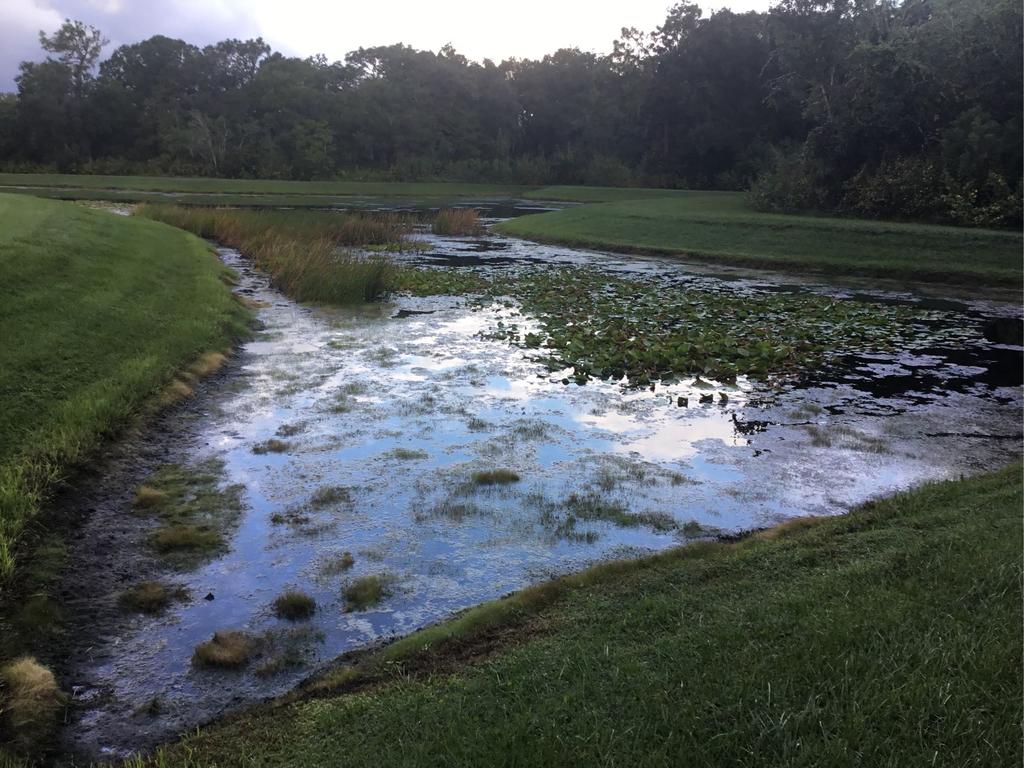 Wildlife utilization was high with Pond #8 was treated for algae development 10/18/18 and isphoto