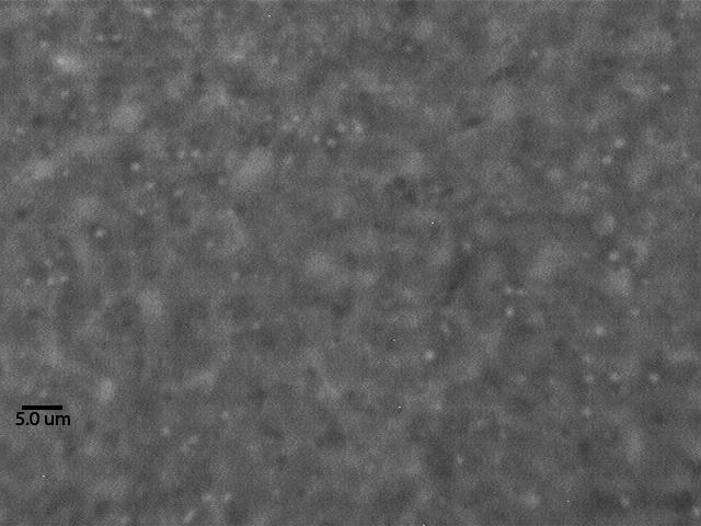 Figure 5-11: Micrograph at 100 for PIP6-F31 blend with LLDPE at 0.5 %w/w. The additive droplets (average diameter 1.20 ± 0.26 µm) are visible as small bright spots.