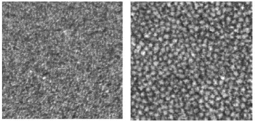 Figure 2-13: Phase contrast SFM images for (left) G0PS-PIP5 and (right) G1PS-PIP5. The width of the image is 500 nm. From Kee and Gauthier.