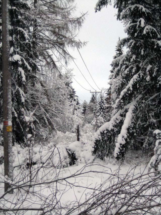 Heavy snow loading combined with high wind speeds: Central Finland, 30 Oct-1 Nov 2001 Impact to critical infrastructure Severe forest damage over 20 000 trees fallen on the power transmission lines
