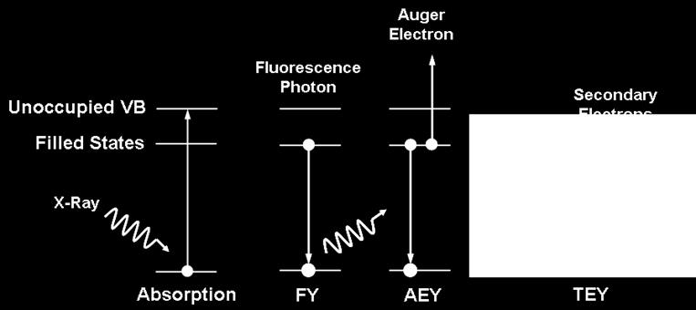 decay products: Fluorescence Yield (FY): Bulk sensitive