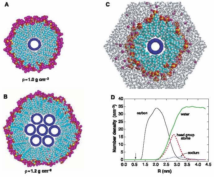 Isolating Nanotubes inside Micelles sodium dodecyl sulfate